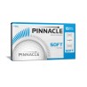 PINNACLE SOFT